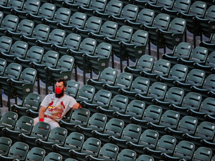 Matt Carpenter sitting in the stands